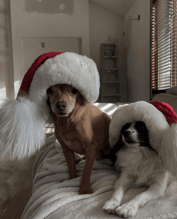 Deluxe Santa Beanie