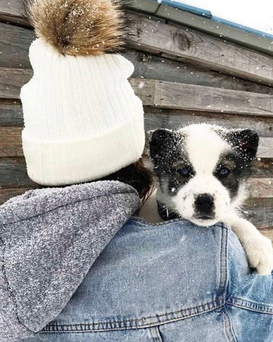 Tuque Adulte Doublée | Adult Knit Beanie BLANC - Pominie