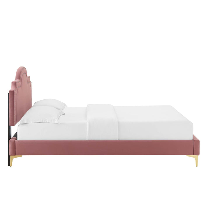 Aviana Performance Velvet Bed With Gold Legs