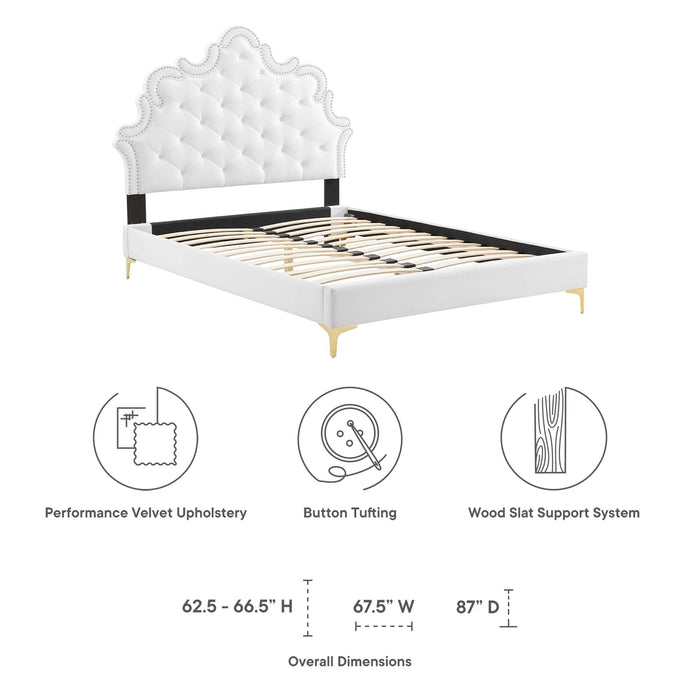 Sasha Button-Tufted Performance Velvet Bed With Gold Metal Legs