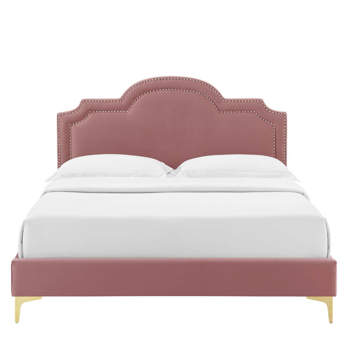 Aviana Performance Velvet Bed With Gold Legs