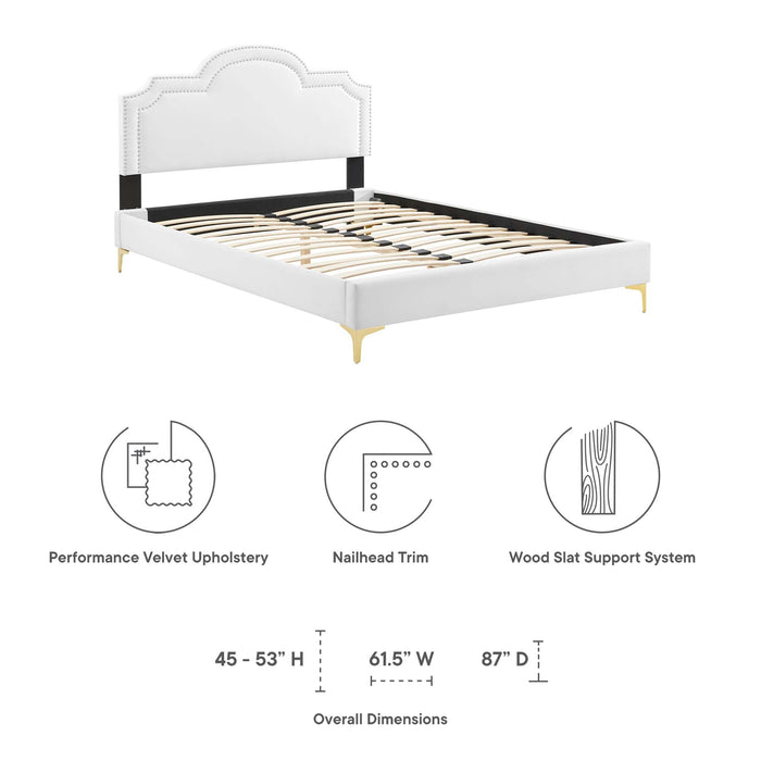 Aviana Performance Velvet Bed With Gold Legs