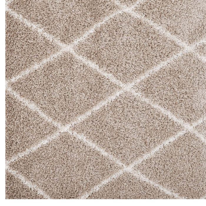 Toryn Diamond Lattice Shag Area Rug