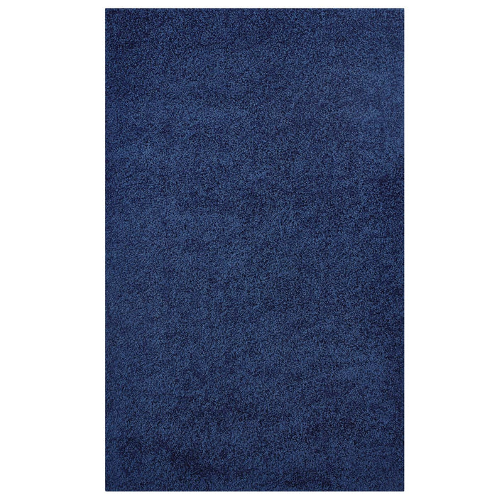 Enyssa Solid Shag Area Rug