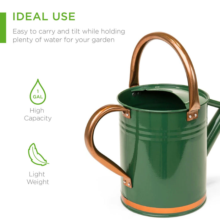 1-Gallon Galvanized Steel Watering Can w/ O-Ring, Top Handle