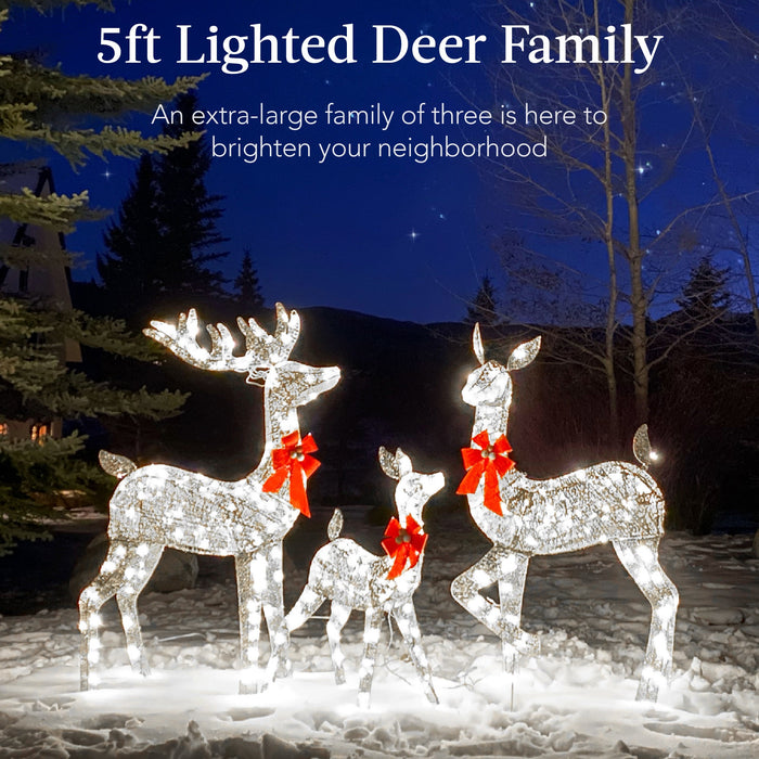 3-Piece Lighted Christmas Deer Set Outdoor Decor with LED Lights