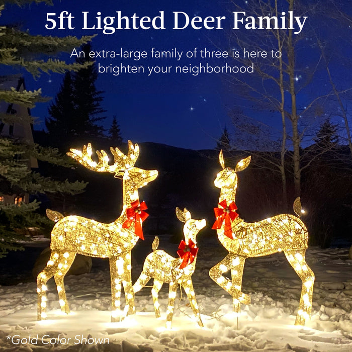 3-Piece Lighted Christmas Deer Set Outdoor Decor with LED Lights